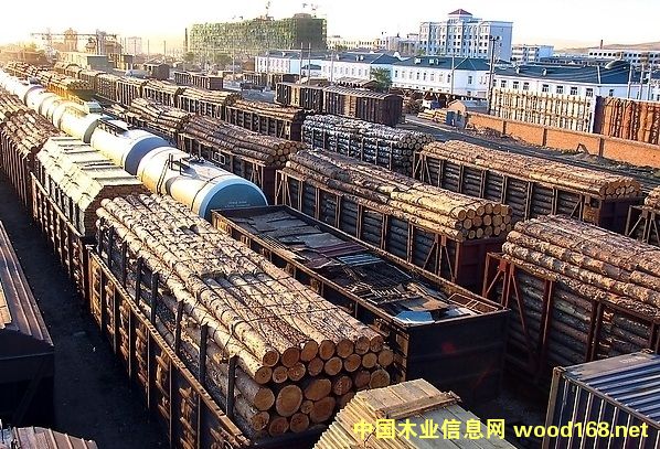 ���_˹����h�I��ľ�ļ�ɢ�֓�����