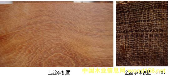 �V���Ĵ����FӲľ:��z����͘ľ����ľ���F��ľ