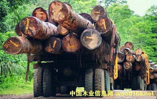 �R������ľ�ĘI(y��)����200�| ����������