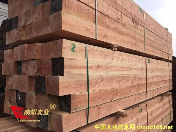 �����ɳɞ�Ž����������xľ��