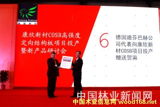 ȫ���חlCOSB�ߏ�(qi��ng)�ȶ���Y(ji��)��(g��u)�����a(ch��n)��Ͷ�a(ch��n)