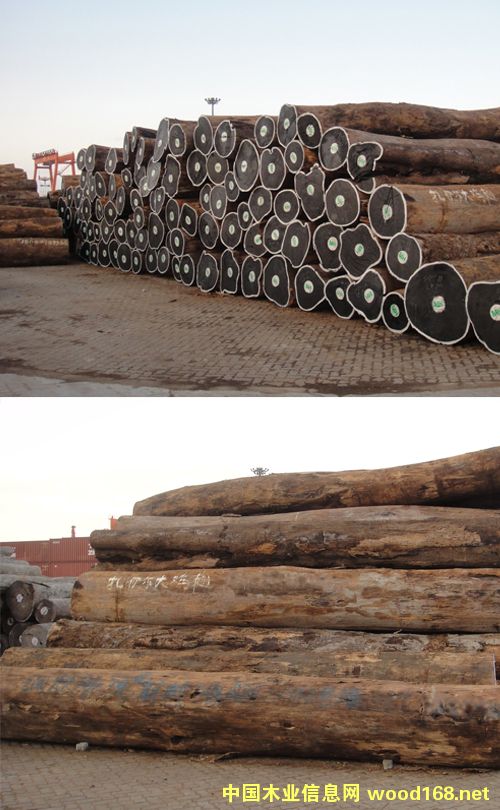 ����ľ�ļ��F-�����¶�ľ