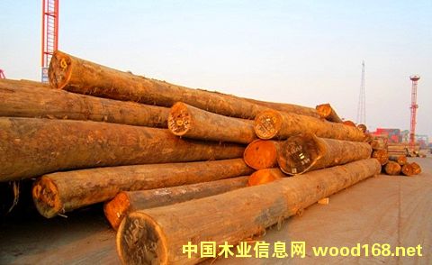 ���ڏ��Ҹ۷��޲ĵĳ���(k��)�����_(d��)���f(w��n)������