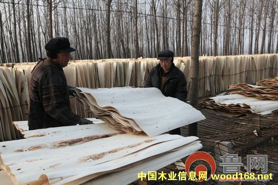 ɽ�|�R�ʣ�����ľƤ������ľƤ