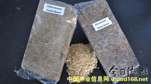 �����ٻ��壺����(j��ng)�����h(hu��n)�����־�