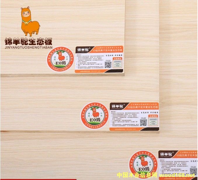 金絲印象 金絲印象