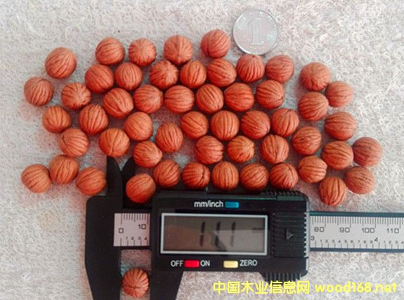 �c���鿴�������^���ҷŴ�DƬ