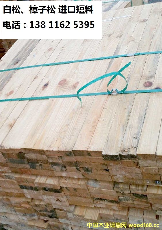 �����������ɶ���