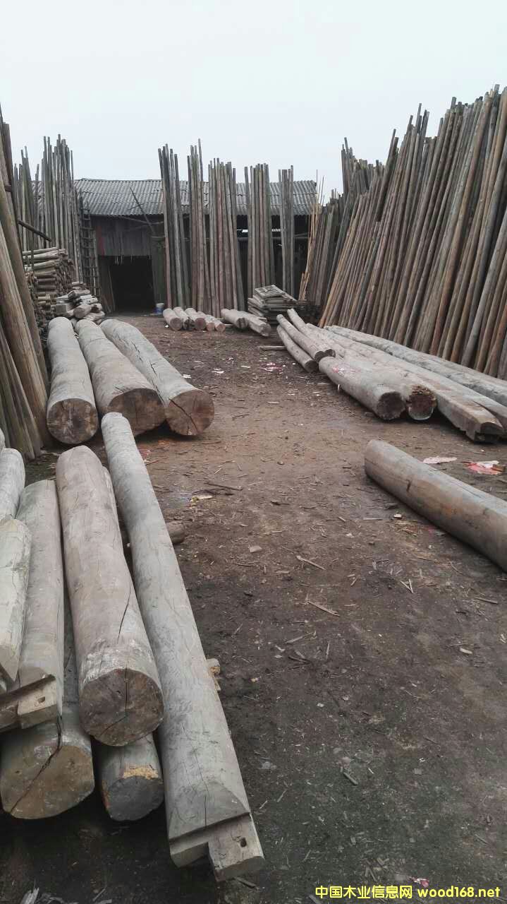 木的詳細(xì)介紹