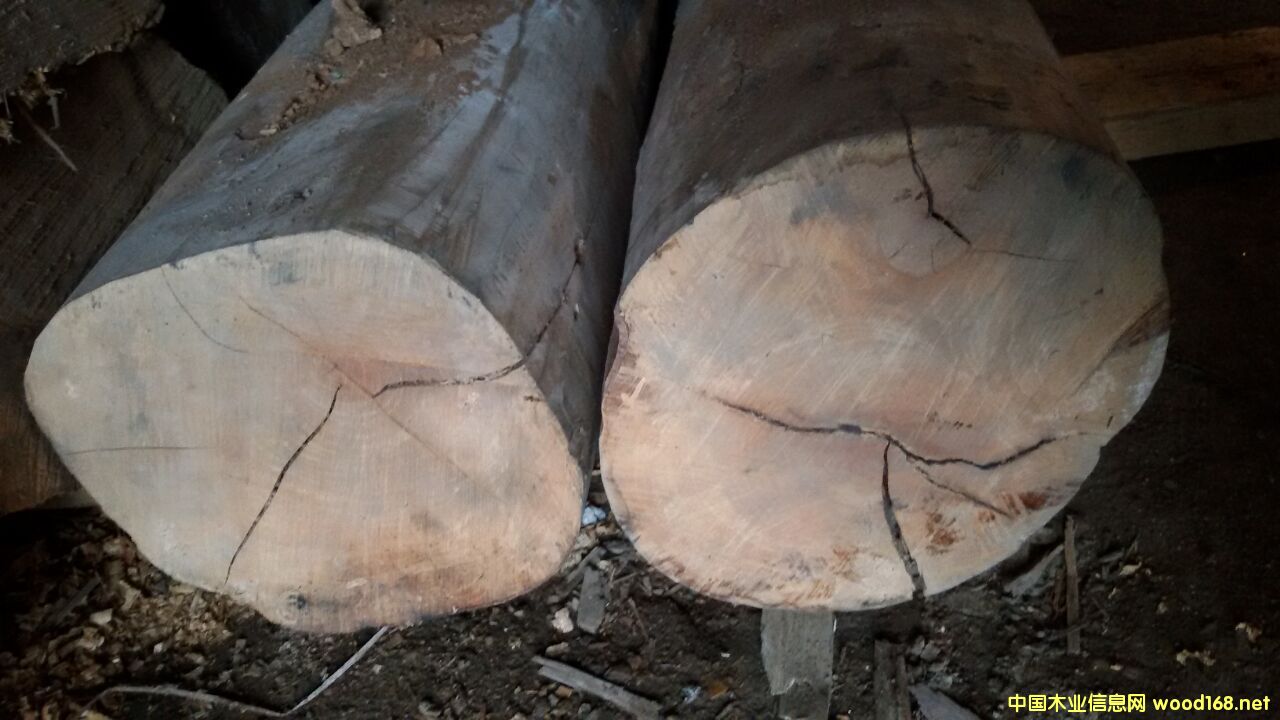 花梨木的詳細(xì)介紹