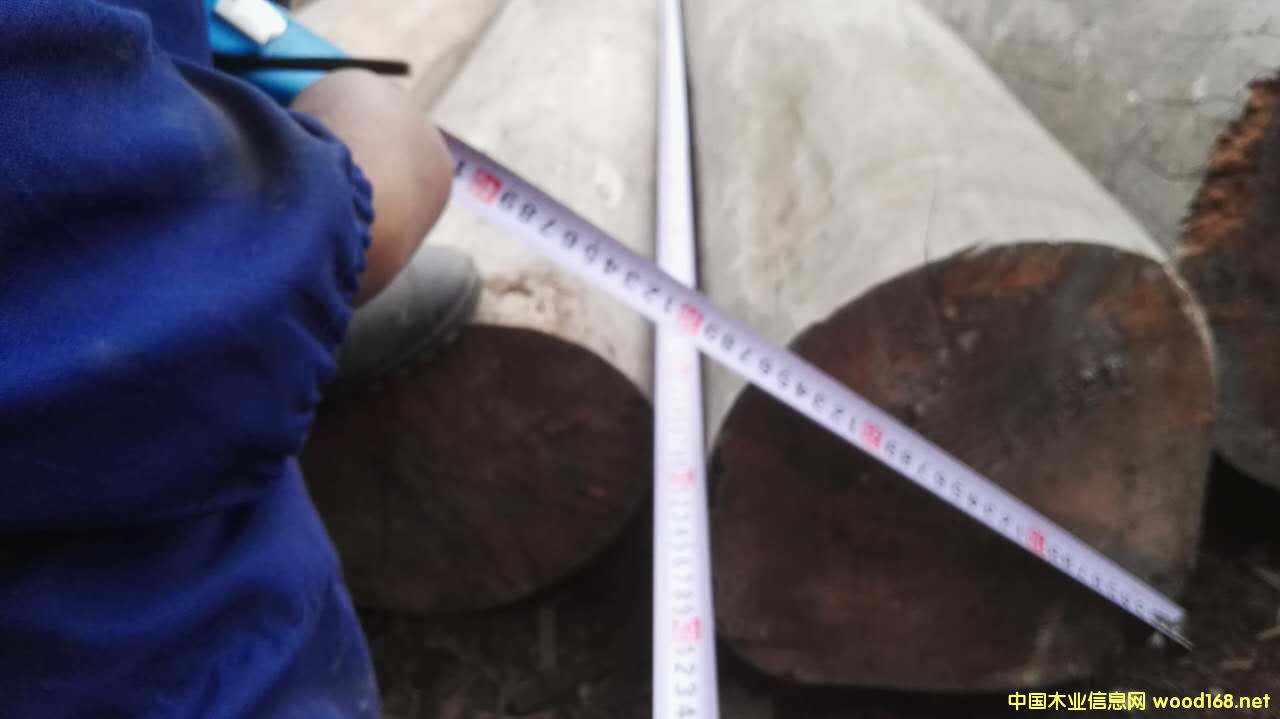 花梨木的詳細(xì)介紹