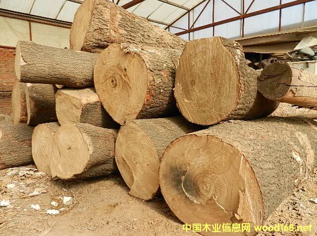 ɼԭľ��Ԕ��(x��)��B