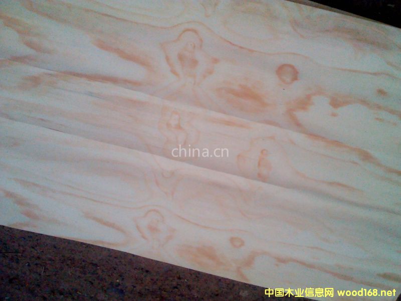 ݗ���ɟo��(ji��)��Ƥ