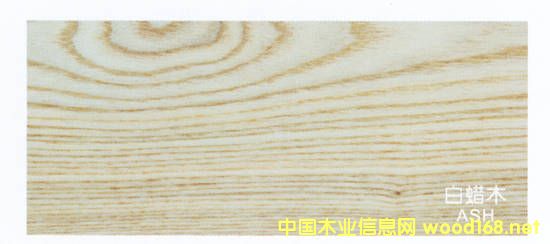 ���DľС�ӵ�Ԕ����B