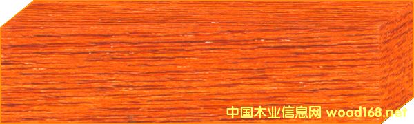 ˮ�̓���Ⱦ�� �ȼt O-09-S