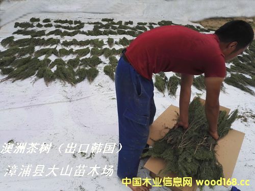 ���޲��(sh��)�~�ӣ���ɣ�