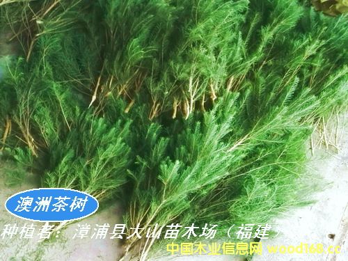 [��] ���ͼ�¶��ȡԭ��