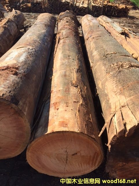 ������ľ��Ԕ��(x��)��B