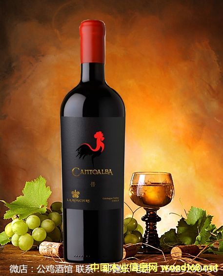 С���u 피������� �t���ѾƵ�Ԕ��(x��)��B