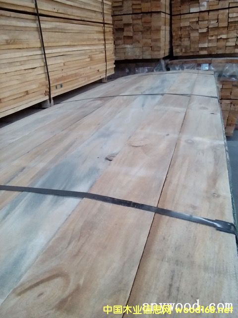 �M����ľ-�{׃��������-1