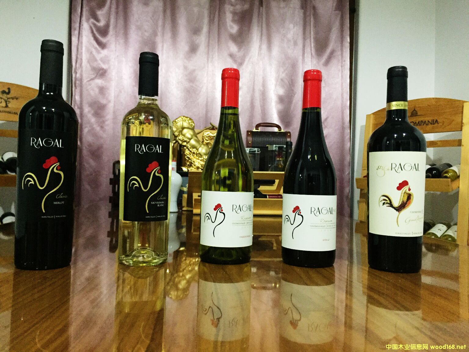 ���u/���uϵ�������t��