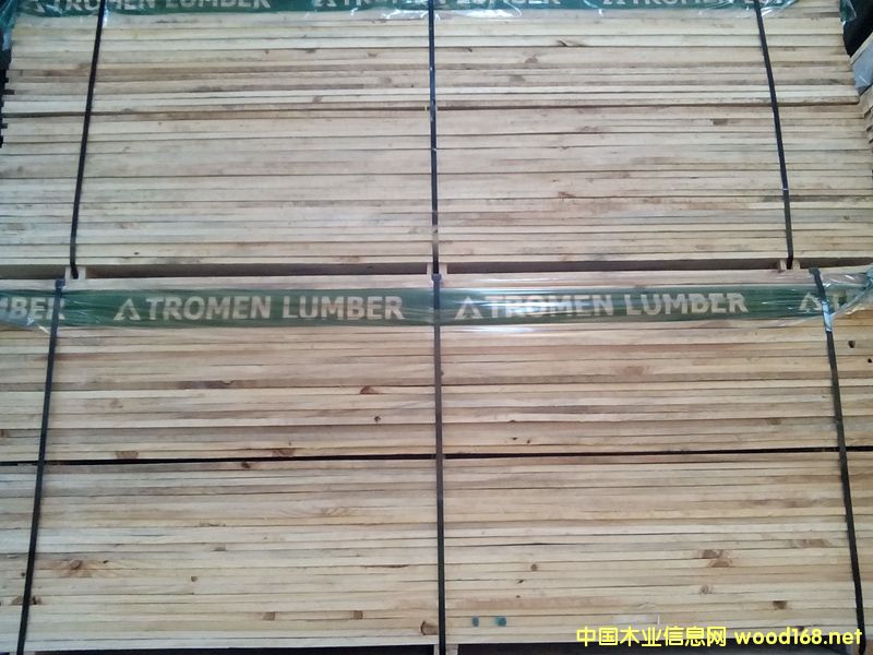 ����ݗ�����{(l��n)׃��