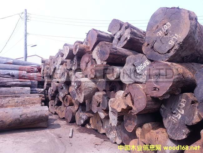 ���_�T����̴ԭľ��Ԕ��(x��)��B