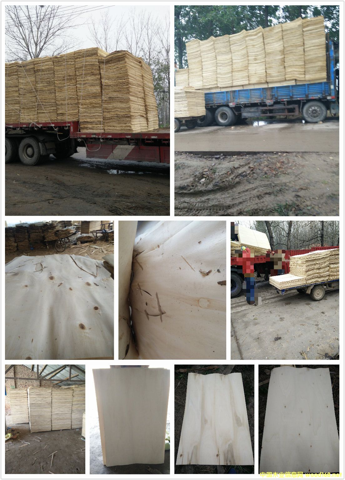 ��ľƤ�ӆΰ�