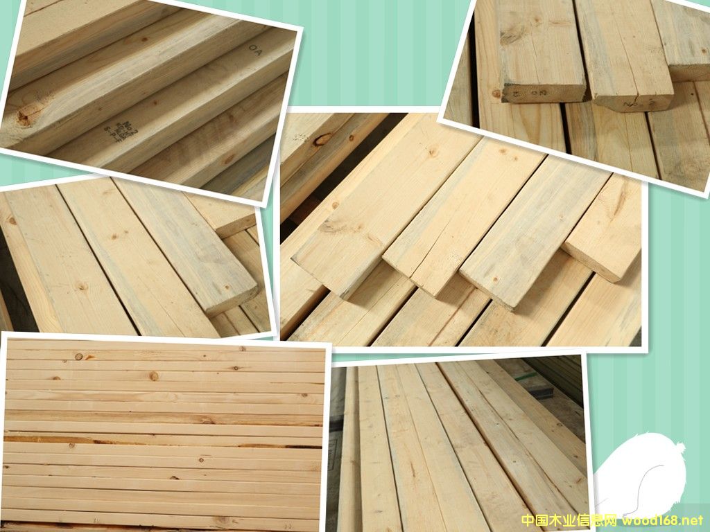 [��] spf�ز�