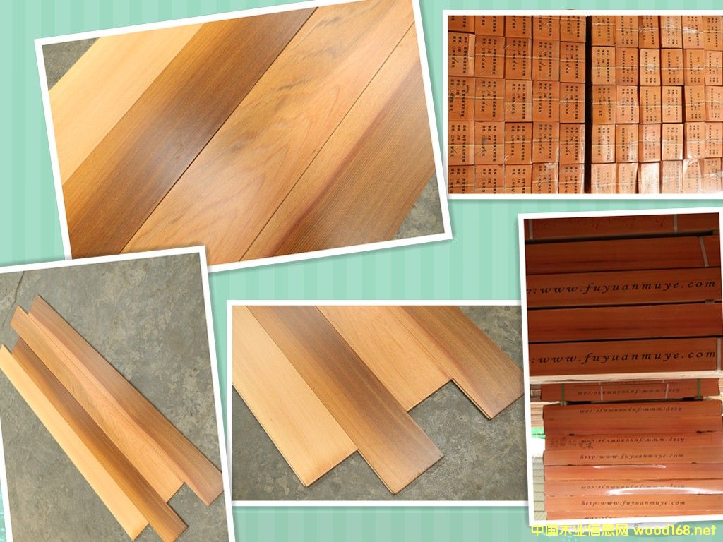 [��] �tѩ��