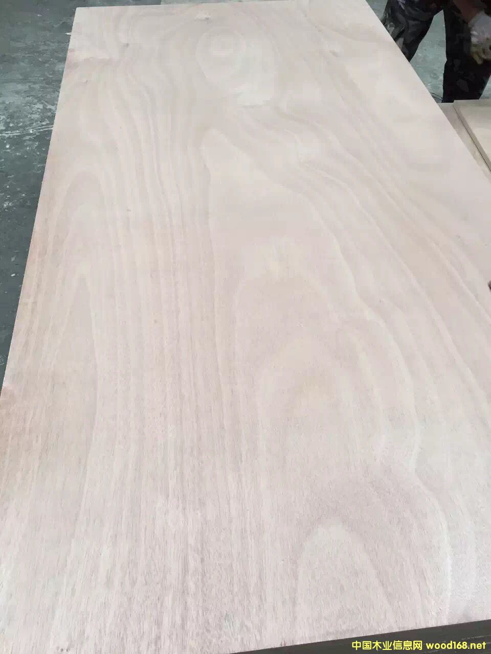 �c(di��n)���鿴15�匍(sh��)ľ���Ӱ�ϵ�зŴ�DƬ