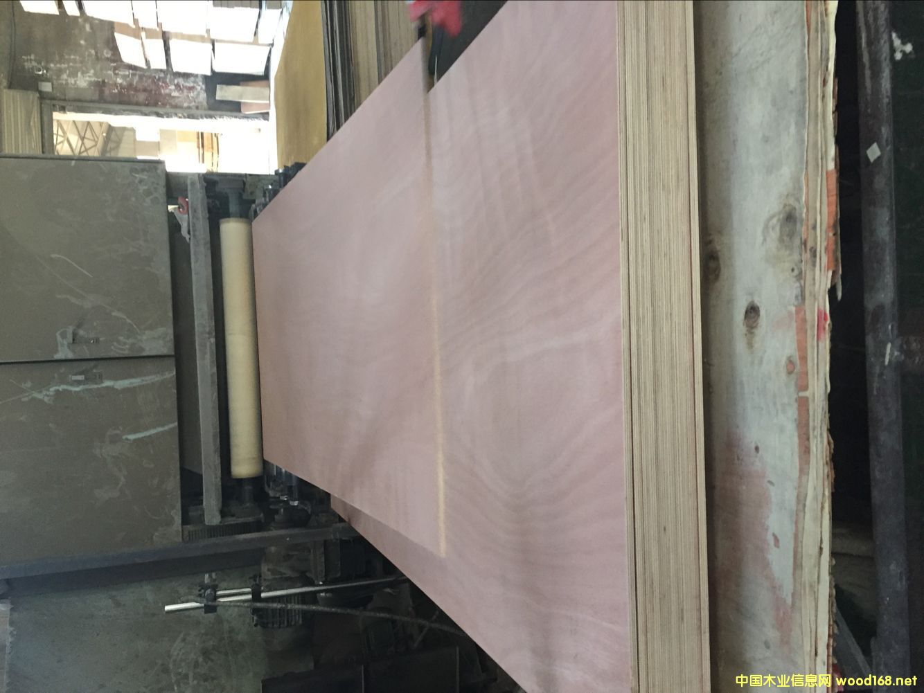 ���sľ�ذ� ��ľо