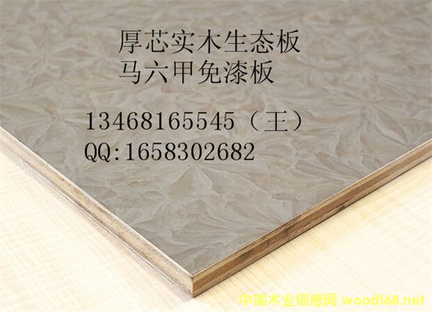 ���⵶ģ���ذ�E0��