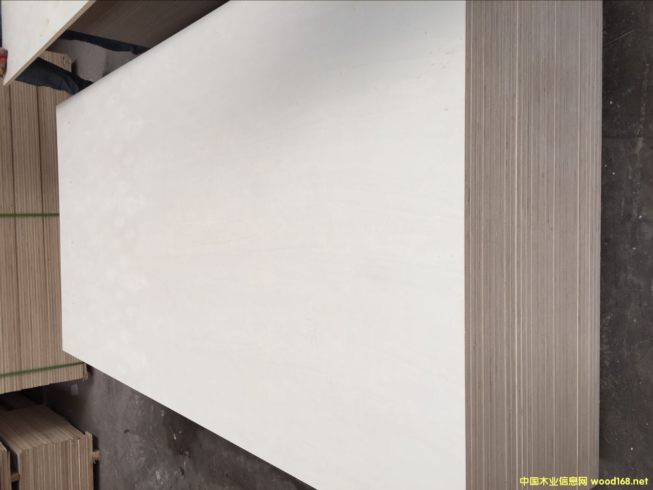 18�����B(t��i)����� ��ľо�A��