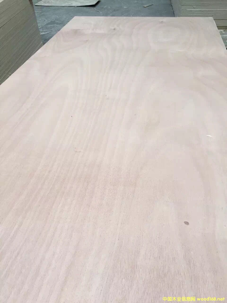 12���ľо�Ҿ߰� ��ˮϵ��