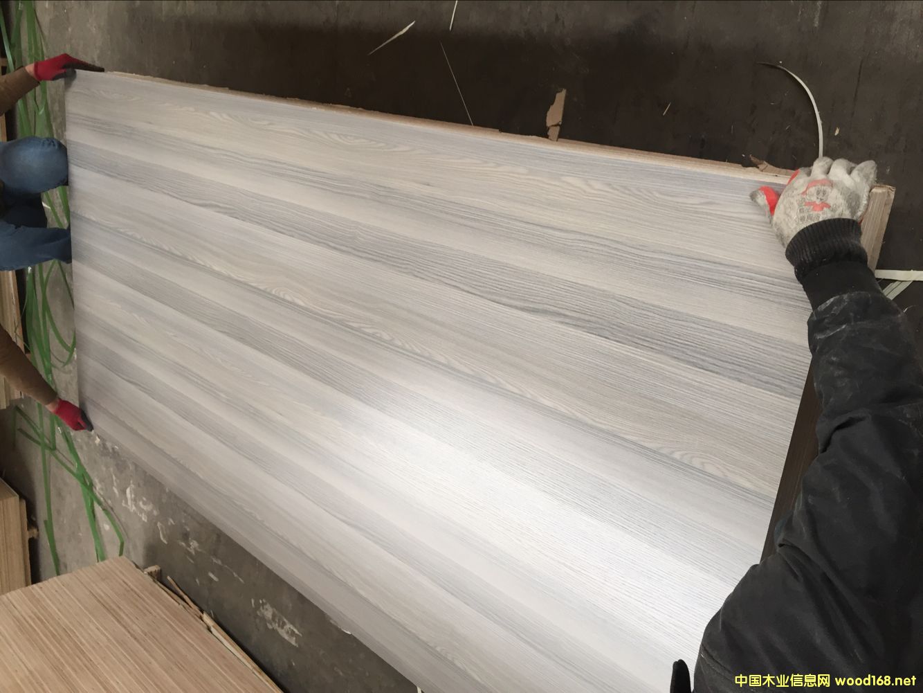 ���sľо�Ҿ߰� ��ľ