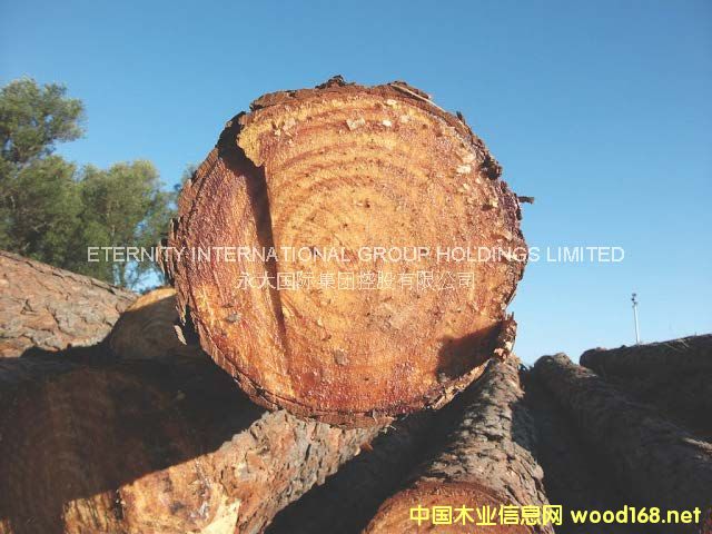 ����ɵ�Ԕ��(x��)��B