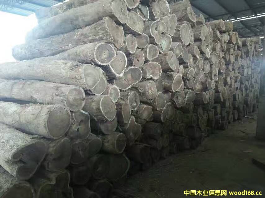 ī�����S��̴