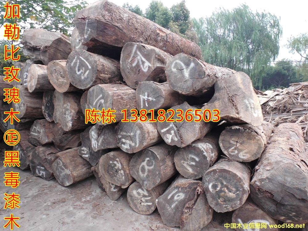 ������֦���ձ�õ��ľ��z�S̴�ڶ���ľ�����޴��~�S����ڻ���ľ��Ԕ����B