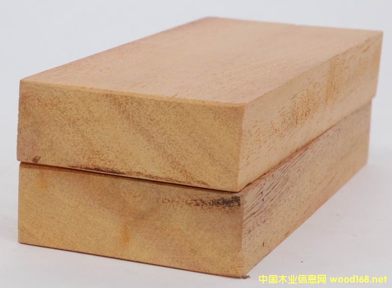 ���¼t�����^(gu��n)ľ�ĵ�Ԕ��(x��)��B