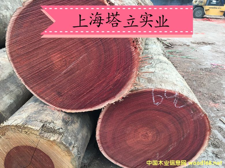 �R��(l��i)����ľ��(h��)��ذ�@�־��^(gu��n)����ľ�ĵ�Ԕ��(x��)��B