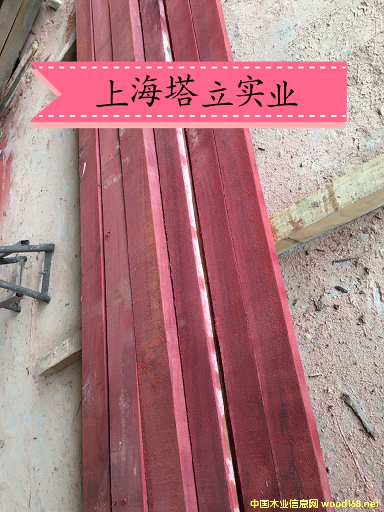 �t��ľ �t�̈́�ľ��(h��)��ذ�@�־��^(gu��n)����ľ�ĵ�Ԕ��(x��)��B