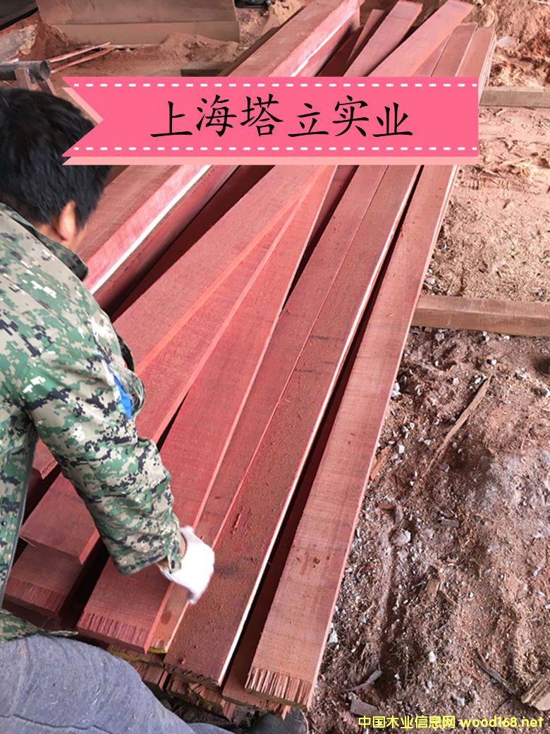 ���¼t�����(h��)��ľ�Ĉ@�־��^(gu��n)�����ذ��y����ľ�ڂ��ҵ�Ԕ��(x��)��B