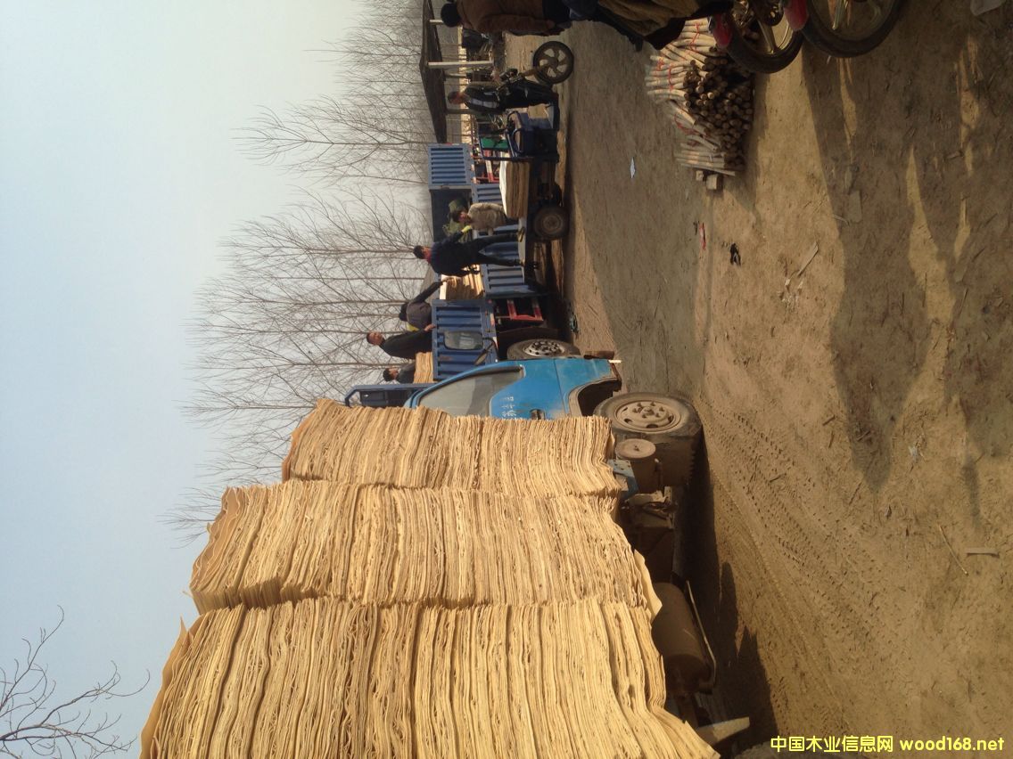 ��ľƤ�ӵ�Ԕ����B