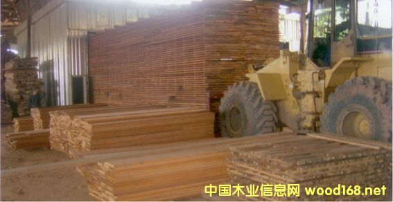 ������ľ��