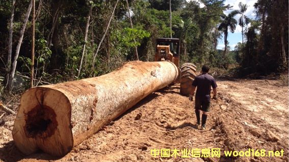 [��] ���~��ľ