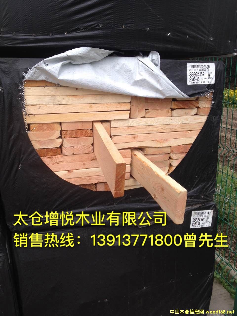 ̫�}�������l(f��)���ɶ������Fɼ���ϣ��������