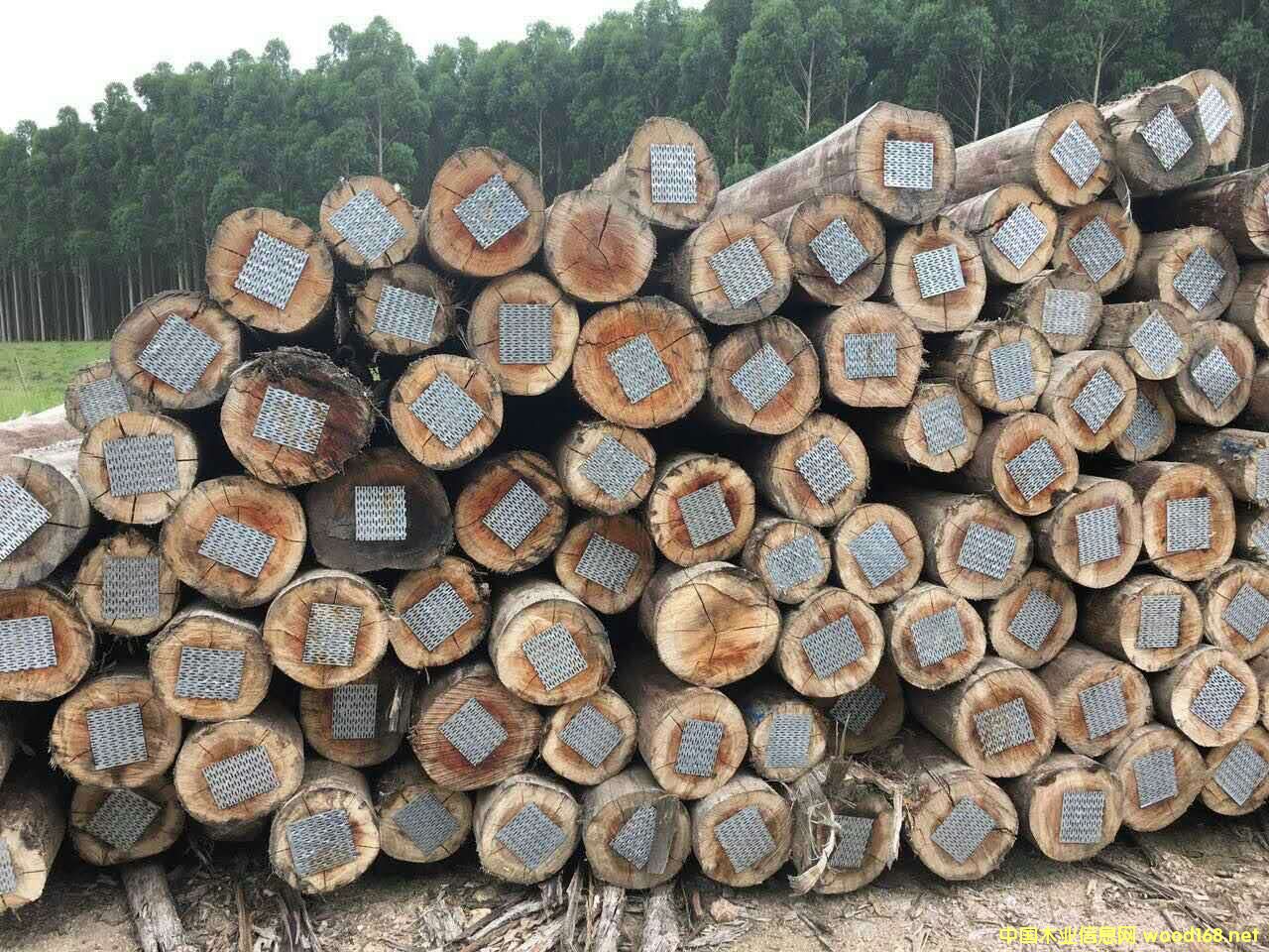 ���м���ľ������õ���񣩵�Ԕ��(x��)��B