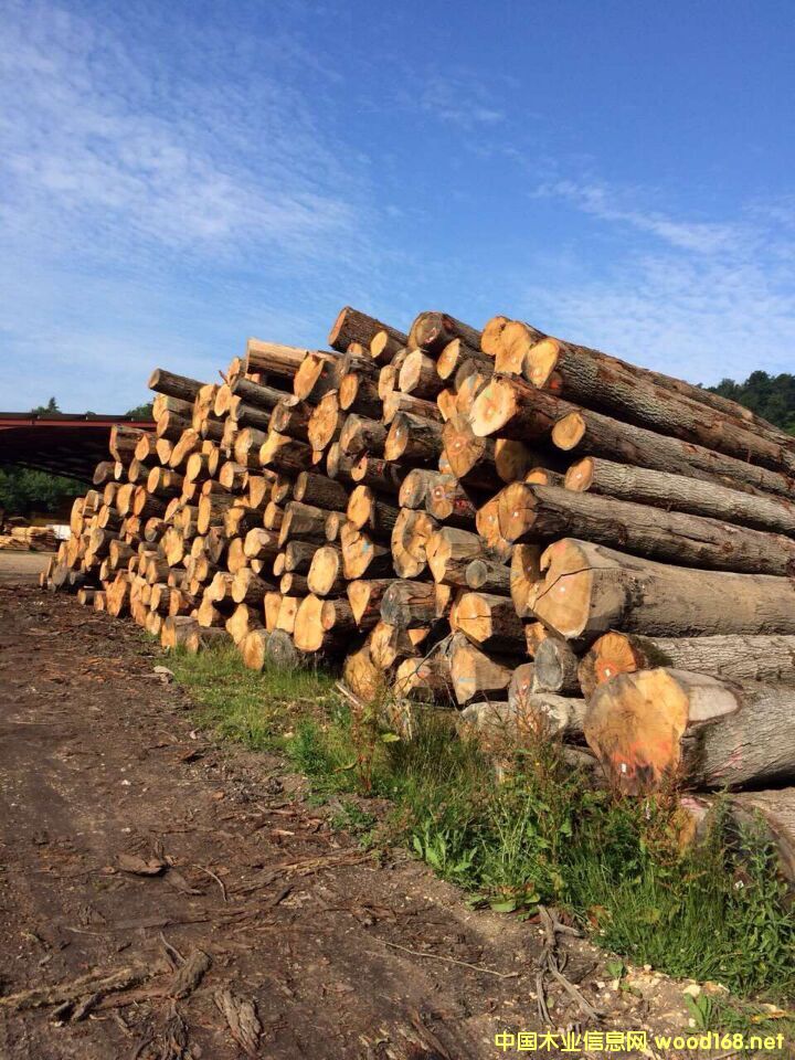 �W����ľԭľ��Ԕ��(x��)��B