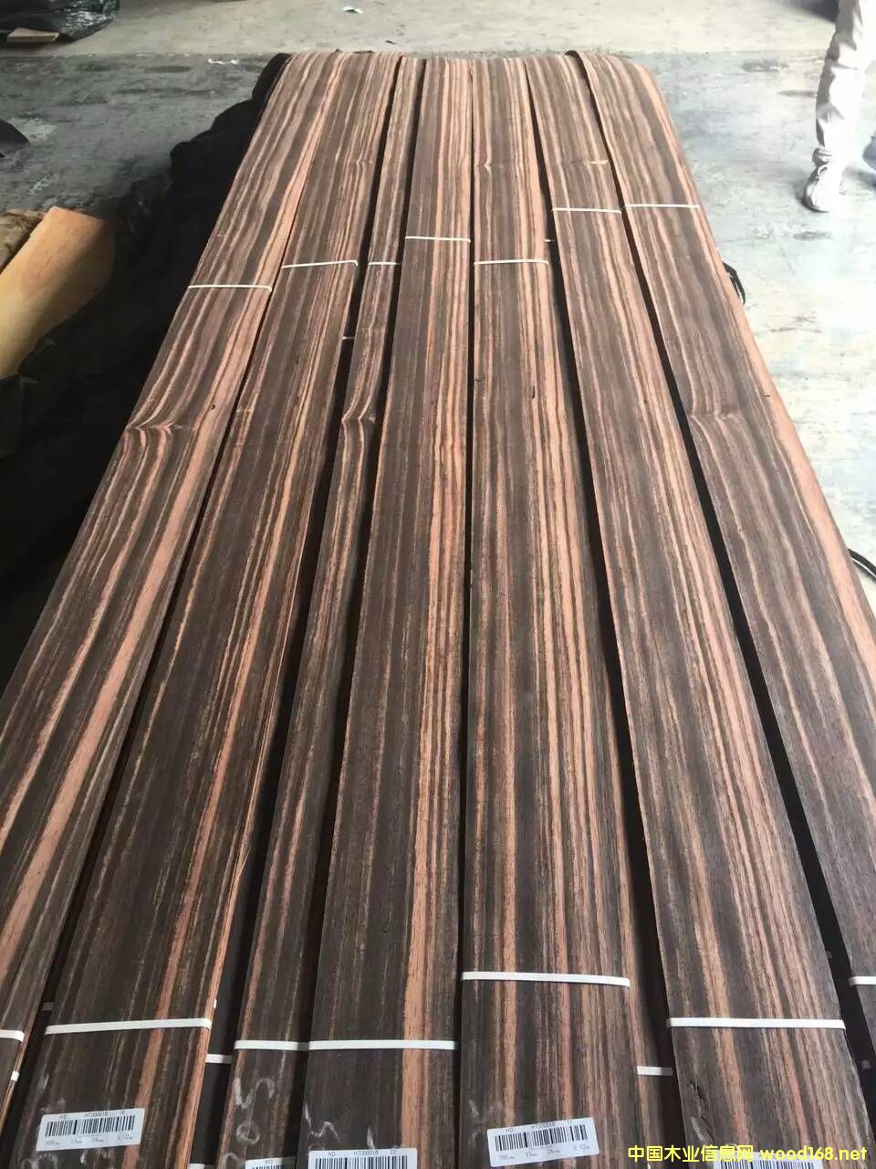 ��ȻľƤ��̴B��AMARA��